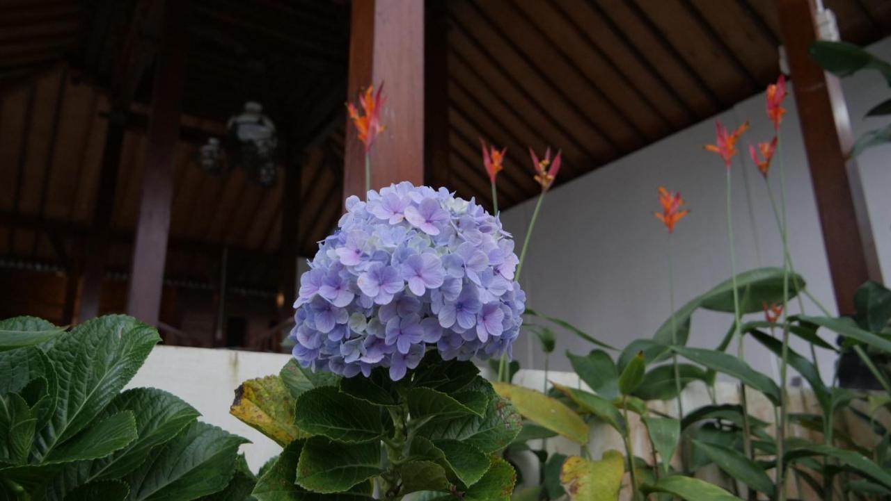 Gasthaus Sanggar Pantcha Indra Kemuning Exterior foto